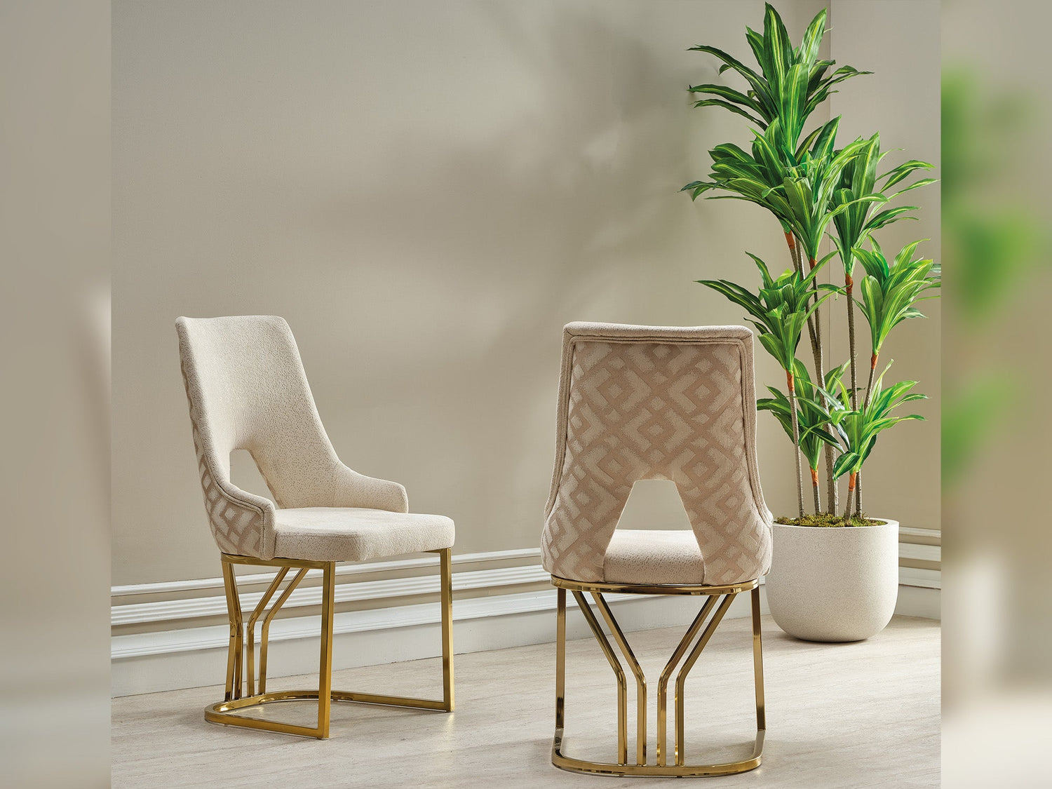 Zen Dining Chair
