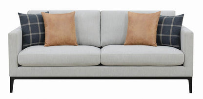 Apperson Light Gray Cushioned Back Sofa from Coaster - Luna Furniture