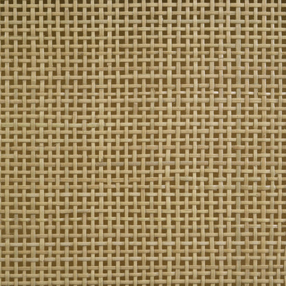 Arini Rattan Cane 2-door TV Stand Media Console Sand Wash - 720253