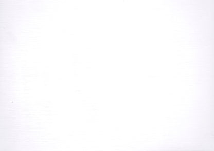 B2022WHTF-1 Twin/Full Bunk Bed - B2022WHTF-1