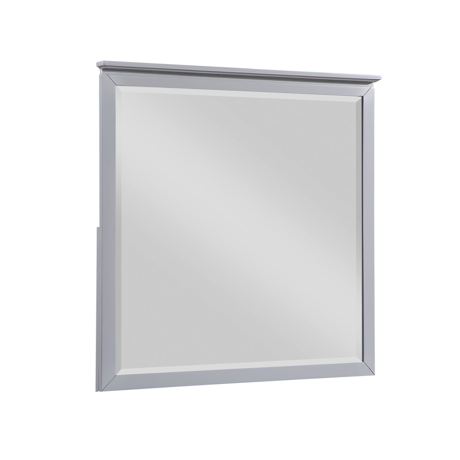 B2024GY-6 Mirror - B2024GY-6