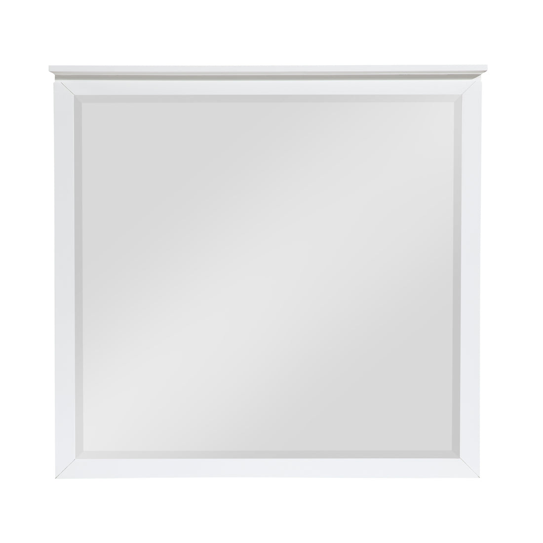 B2024WH-6 Mirror - B2024WH-6