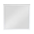 B2024WH-6 Mirror - B2024WH-6