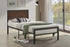 BM10 Metal Platform Bed - Twin - BM10 TWIN PLATFORM BED