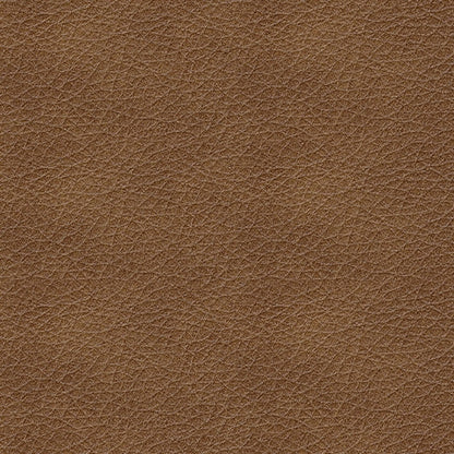 Bolsena Sofa and Loveseat in Caramel - PKG015456