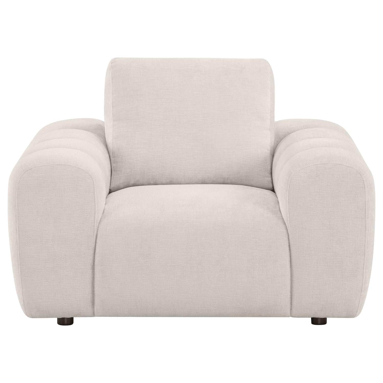 Burnett Chenille Upholstered Accent Chair Ivory - 504957