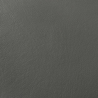 Buxton 2-piece Leather Upholstered Sofa Set Graphite - 509504-S2