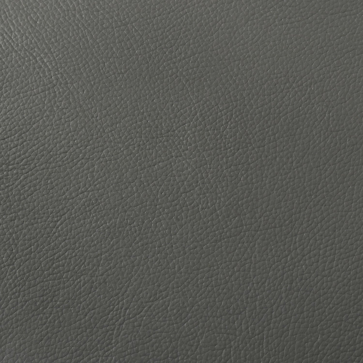 Buxton Top Grain Leather Upholstered Loveseat Graphite - 509505
