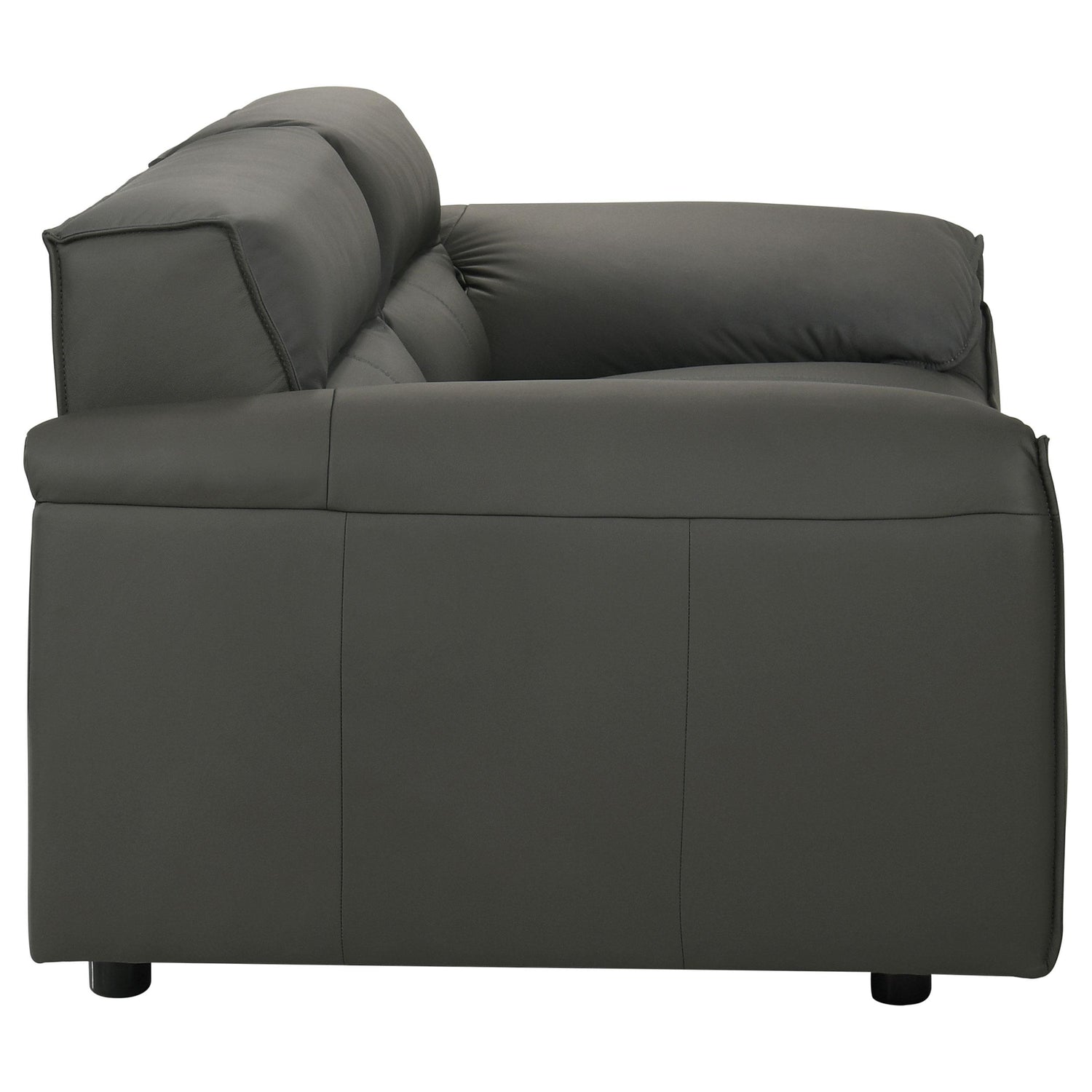 Buxton Top Grain Leather Upholstered Loveseat Graphite - 509505