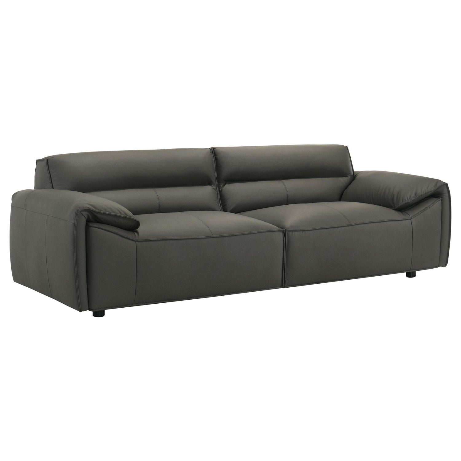 Buxton Top Grain Leather Upholstered Sofa Graphite - 509504