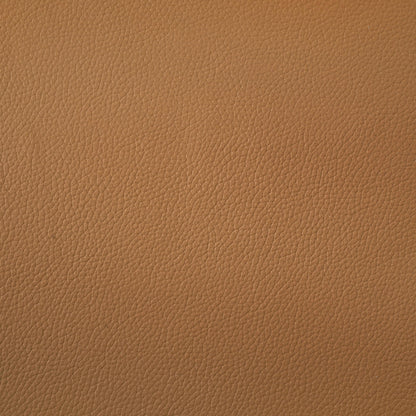 Buxton Top Grain Leather Upholstered Sofa Orange - 509501