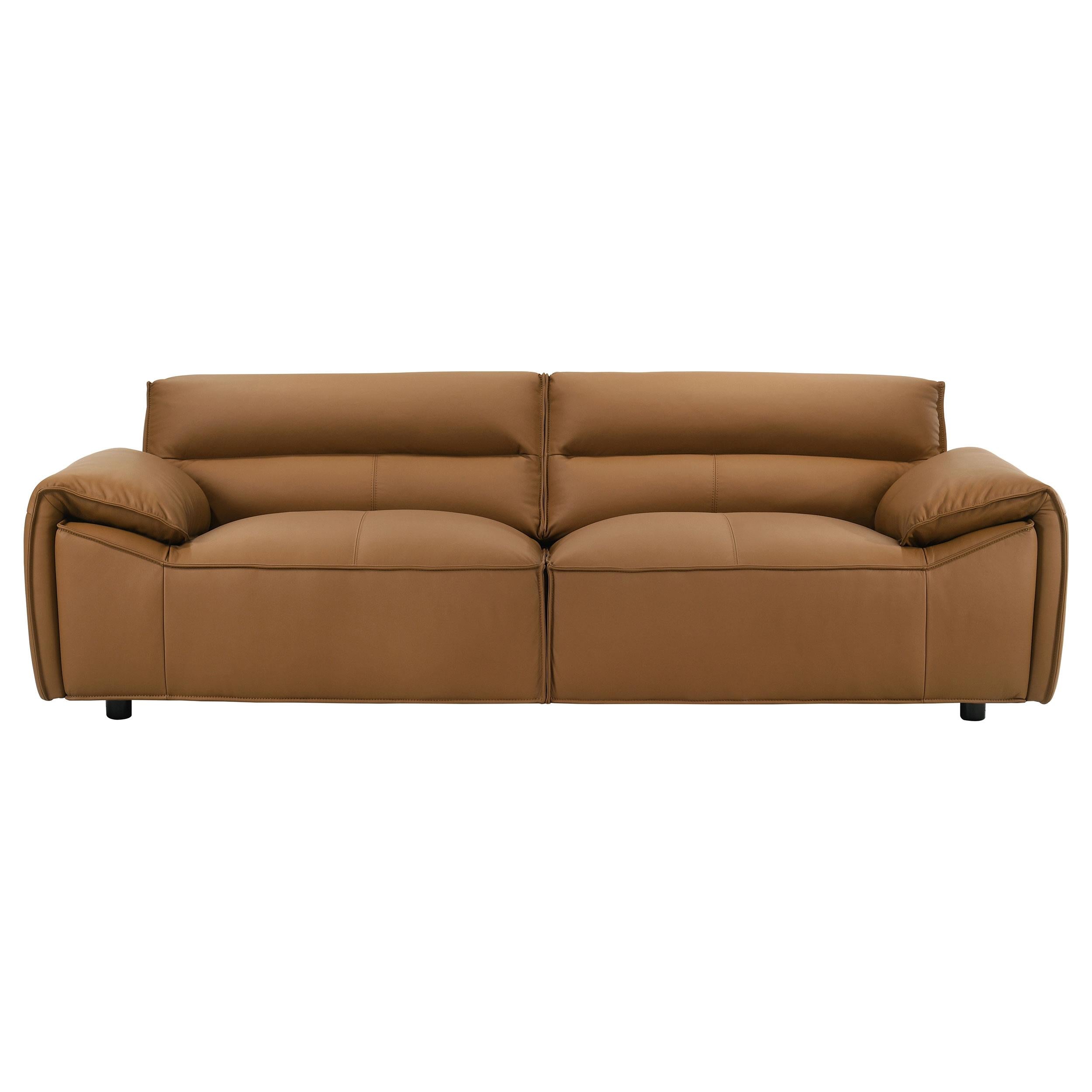 Buxton Top Grain Leather Upholstered Sofa Orange - 509501