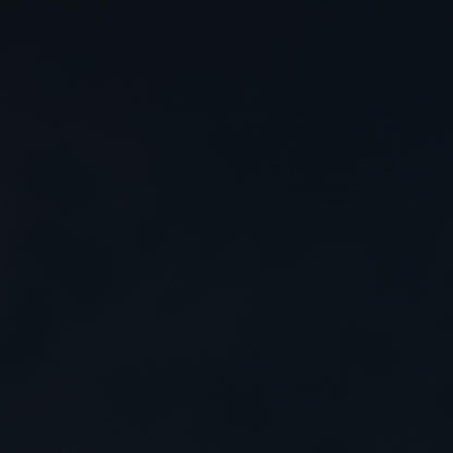 Carlsbad Wood Twin Captains Bed With Trundle Navy Blue - 401980T