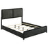 Cavelle 47-inch Upholstered Queen Bed Black - 223661Q