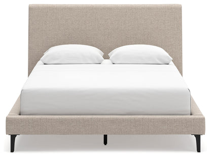 Cielden Soft Gray Queen Upholstered Bed with Roll Slats - B1199-81