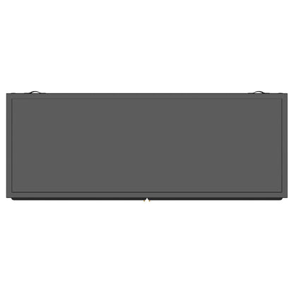 Dalia 2-door Accent Storage Cabinet with Shelving Black - 950385