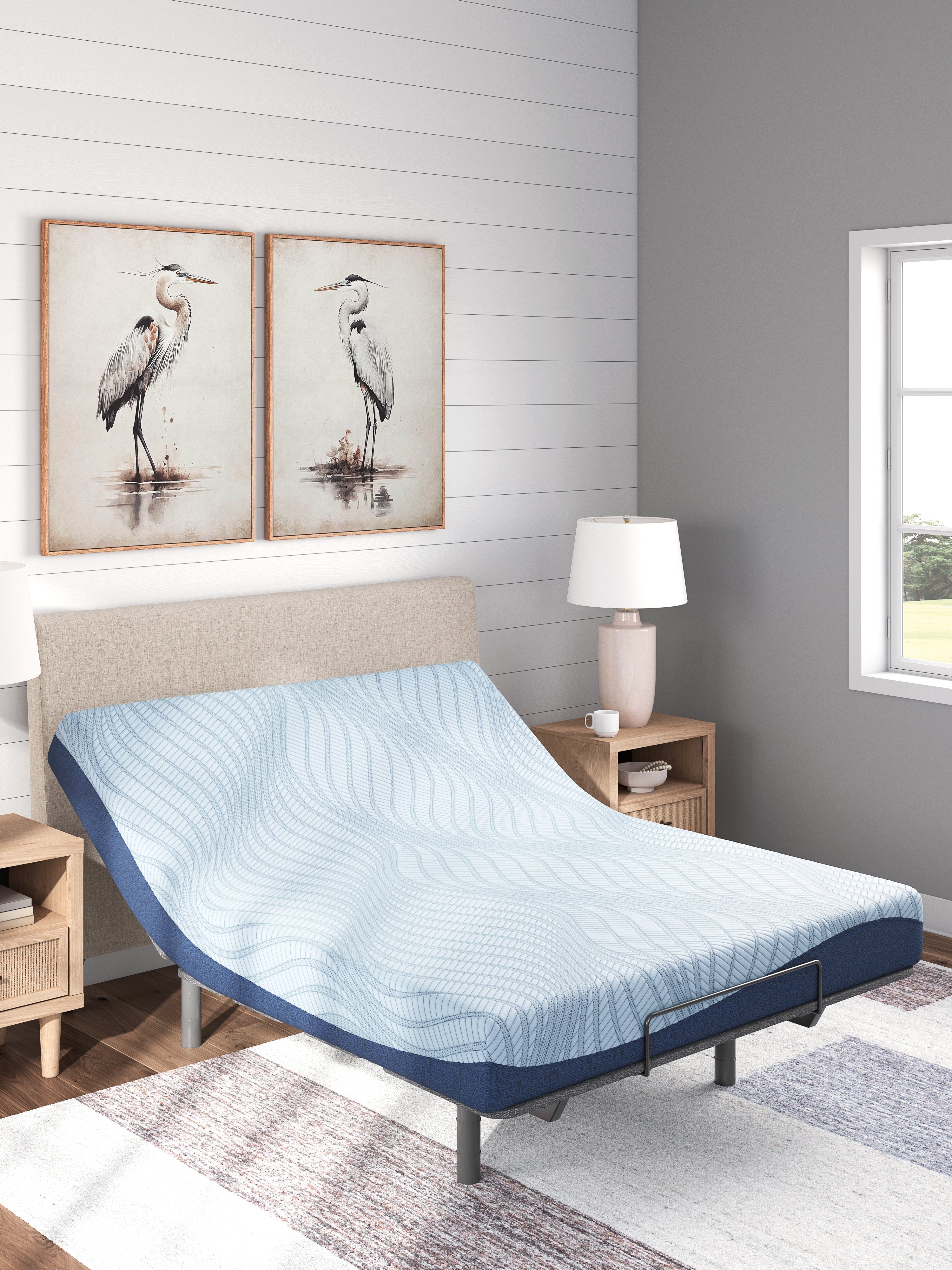 Dellyn 8 Memory Foam White California King Mattress - M20451