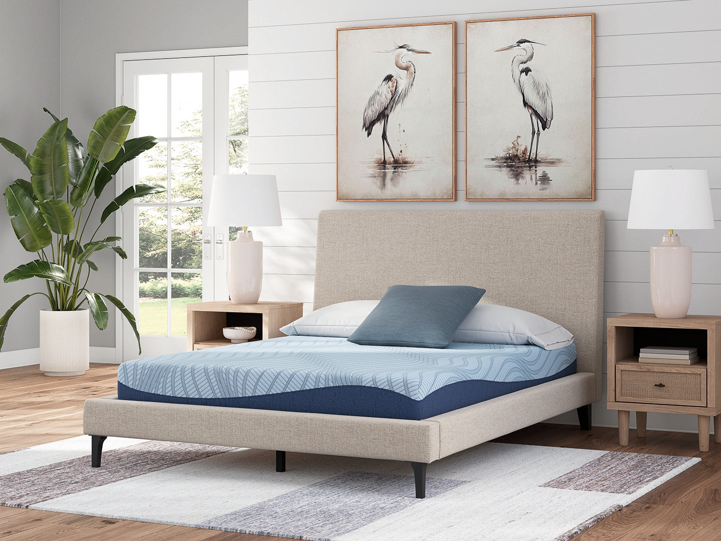Dellyn 8 Memory Foam White California King Mattress - M20451