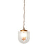 Delphi Pendant Lamp - Coarse Gold and Clear Glass - PNL04102601