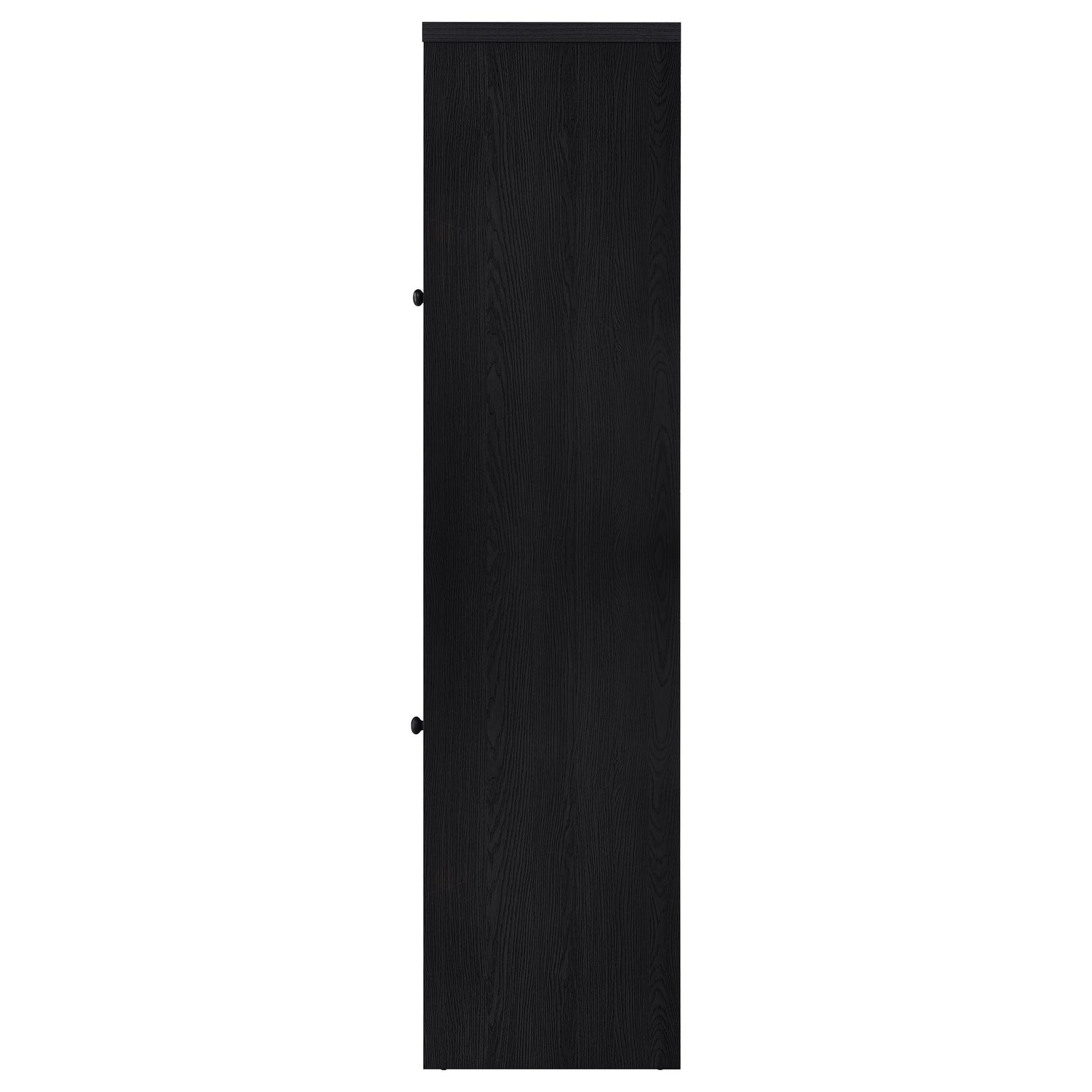 Denison 67-inch 2-door Media Tower Storage Cabinet Black - 720224