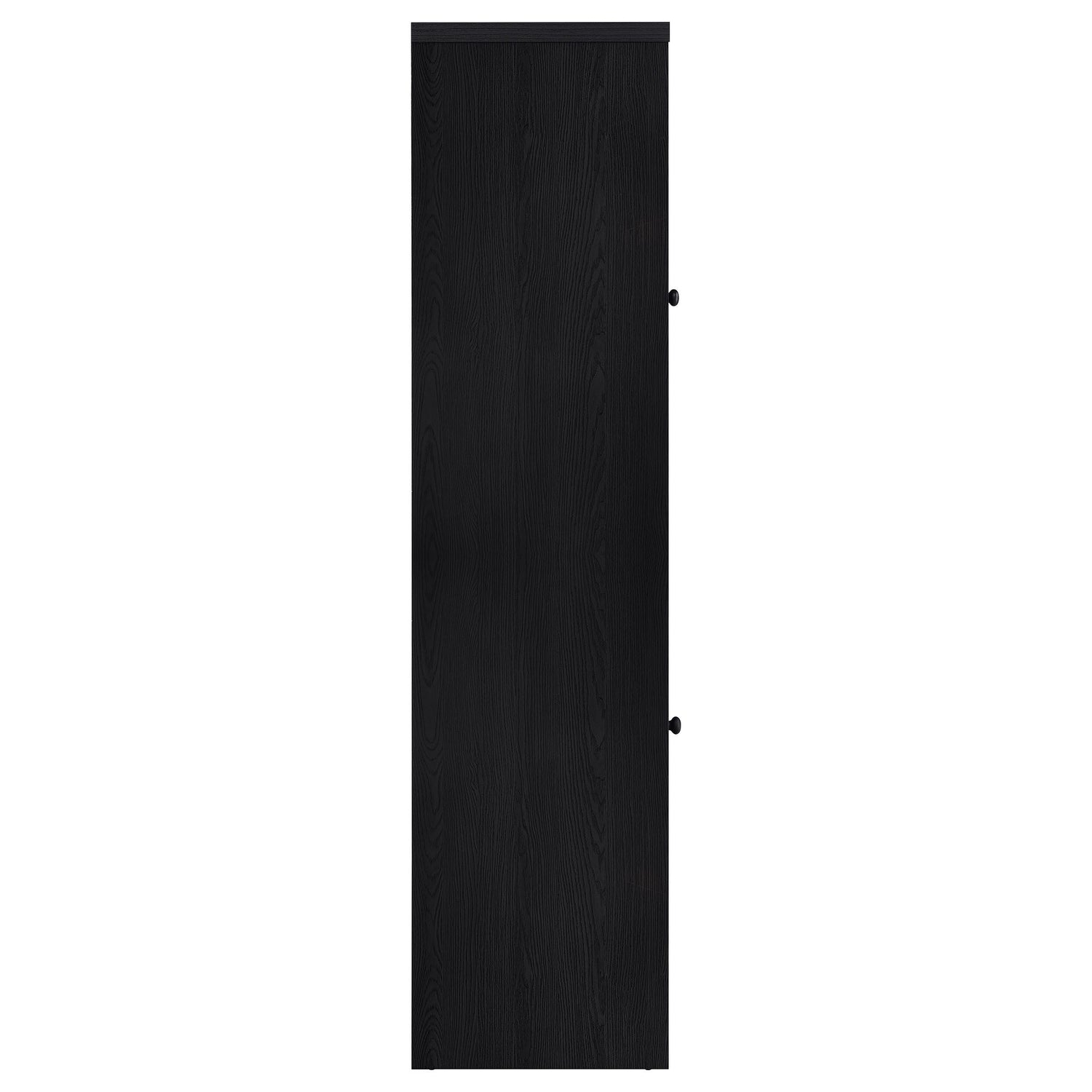 Denison 67-inch 2-door Media Tower Storage Cabinet Black - 720224