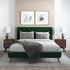 Dillon  Dark Green Velvet Platform Bed (Queen Size) - BED00300203