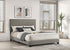 Dorian Fabric Upholstered Queen Panel Bed Taupe - 300851Q