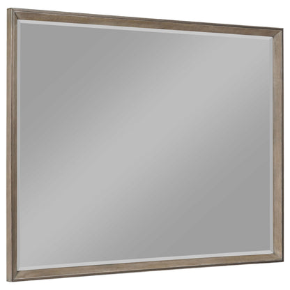 Durango 8-drawer Dresser Mirror Washed Oak - 223274