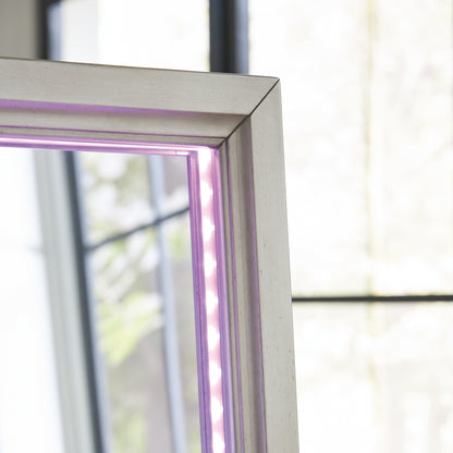 Evesen Champagne Floor Standing Mirror/Storage - A8010380