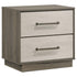 Fenwick 2-drawer Nightstand Bedside Table Grey Oak - 224982