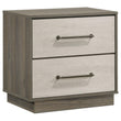 Fenwick 2-drawer Nightstand Bedside Table Grey Oak - 224982