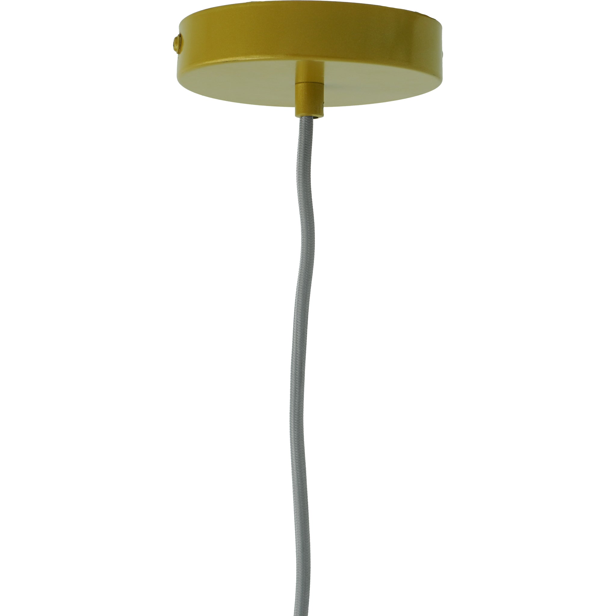 Glowline Pendant Lamp - Gold and Clear - PNL04102901