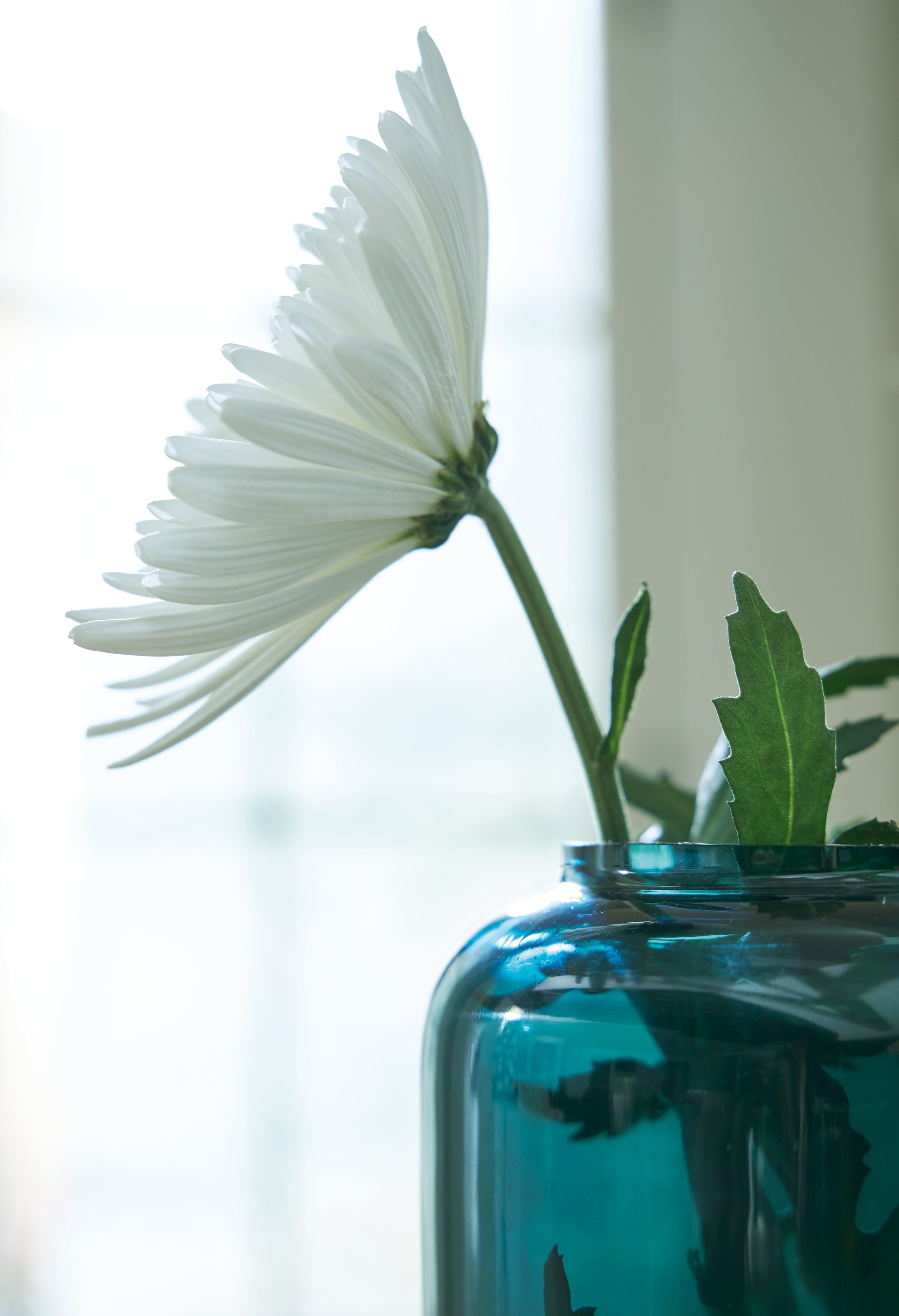 Inisland Vase Set (Set of 2) - A2000797A1