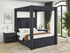 Jayla K/Q Hb/Fb Post Black - 5117BK-KQ-POST