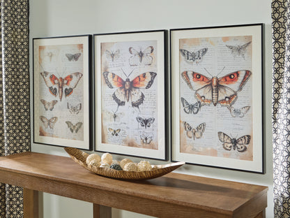Jossletts Orange/Black/Ivory Wall Art (Set of 3) - A8000490