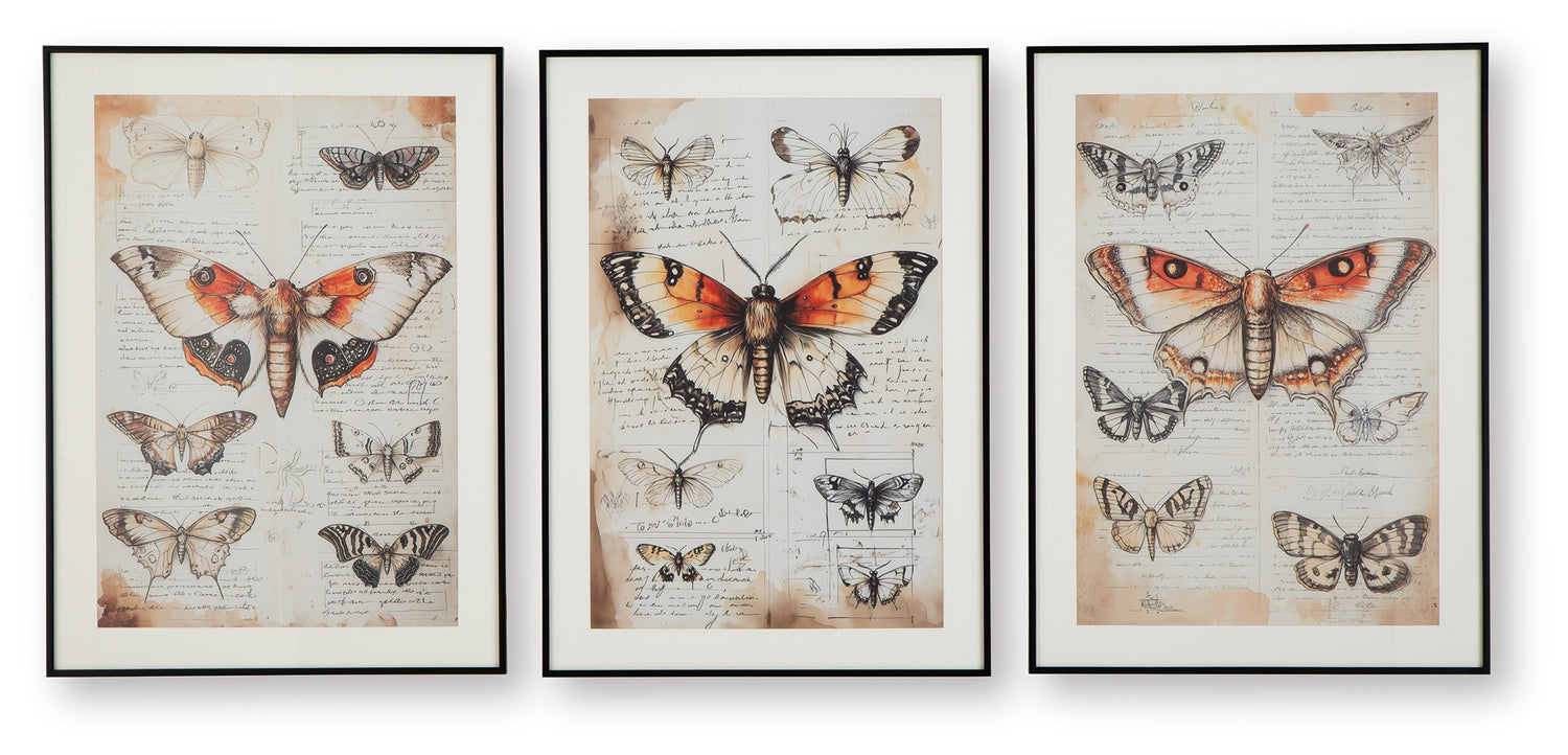 Jossletts Orange/Black/Ivory Wall Art (Set of 3) - A8000490