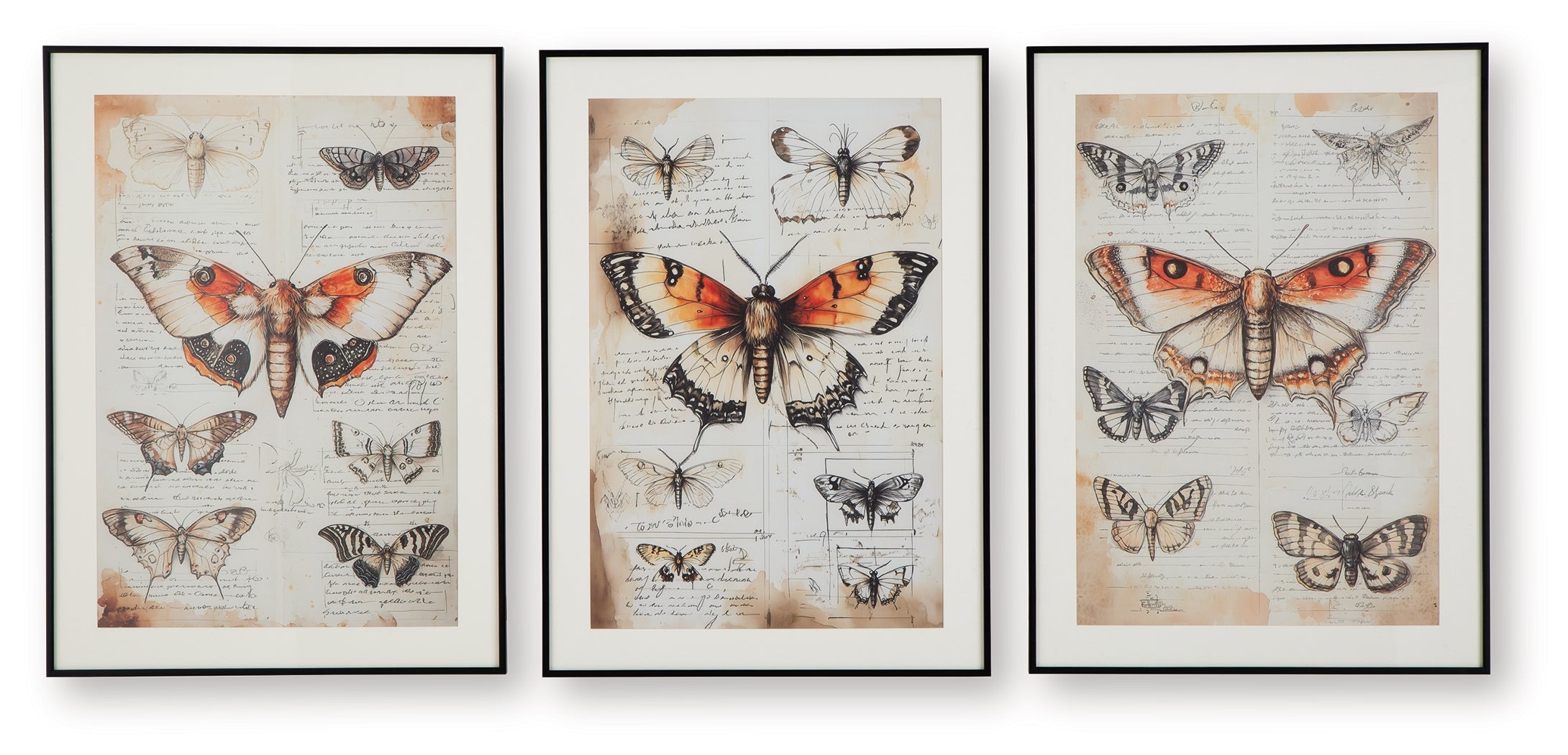 Jossletts Orange/Black/Ivory Wall Art (Set of 3) - A8000490