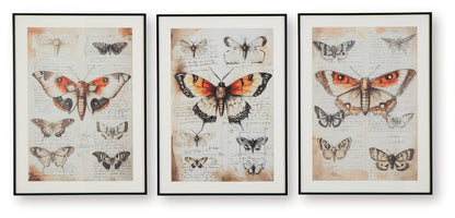 Jossletts Orange/Black/Ivory Wall Art (Set of 3) - A8000490
