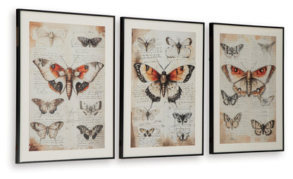 Jossletts Orange/Black/Ivory Wall Art (Set of 3) - A8000490