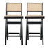 Keira Rattan Bar Stool (Set of 2) - STL00801102