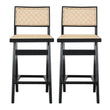 Keira Rattan Bar Stool (Set of 2) - STL00801102