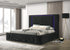 Lorenzo Black Platform Bed (w/ LED LIGHTS) - Queen, King *QUEEN - Lorenzo - Black QUEEN