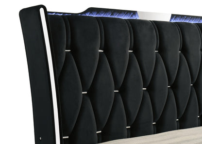 Lorient Queen LED Upholstered Wingback Bed Black - 223161Q