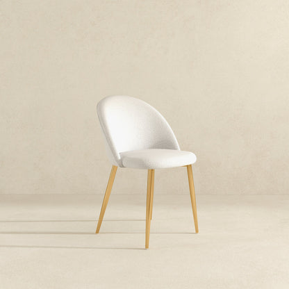 Marion Mid Century Modern Dining Chair (Set Of 2) - DCH02702101