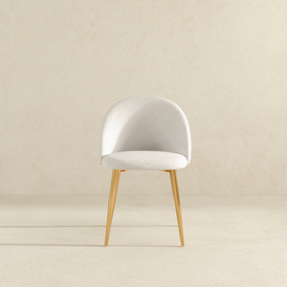 Marion Mid Century Modern Dining Chair (Set Of 2) - DCH02702101