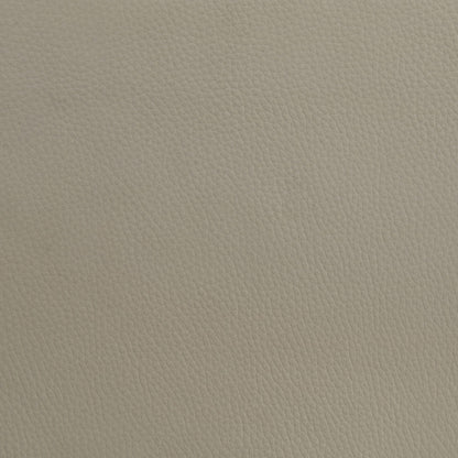 Medley Genuine Leather Queen Panel Platform Bed Tan - 315911TANQ