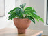 Orban Sienna/White Vase - A2000886