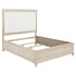 Pembroke 66-inch Queen Panel Bed Washed Oak - 215921Q