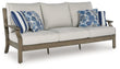 Rainier Ranch Brown/Beige Outdoor Sofa with Cushion - P701-838