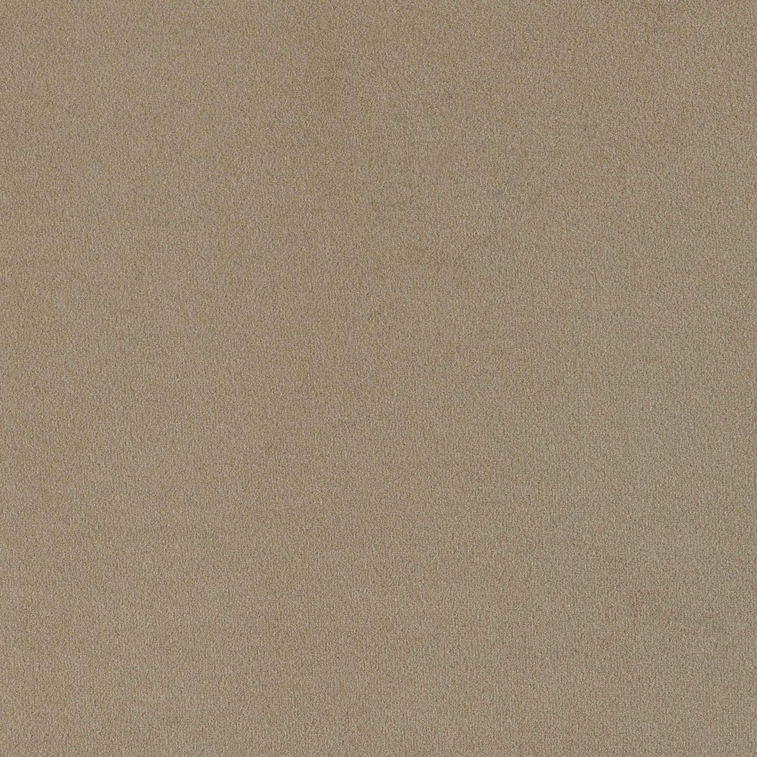 Rainn Latte Upholstered 3-Piece Tight Back Living Room Set from Coaster - Luna Furniture